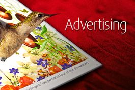 Advertising Services In Sri Lanka