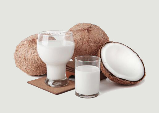 Coconut & Coconut based Products