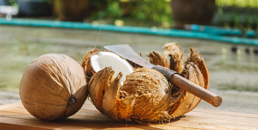 coconuts from Sri Lanka 