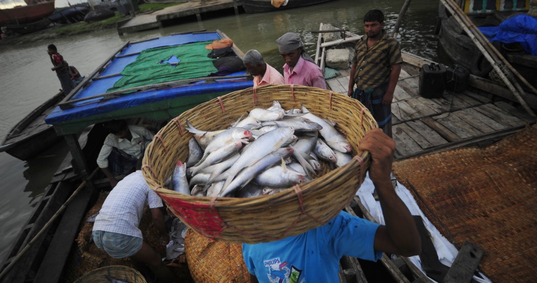  Fisherman in Sri Lanka