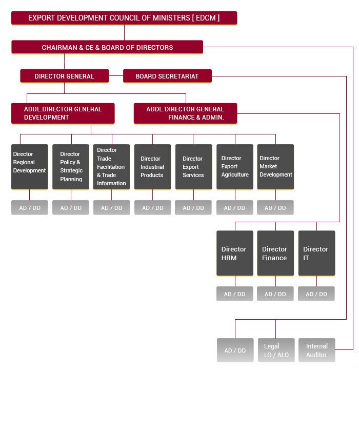 Organizational Chart