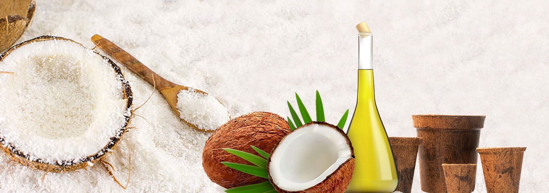 Coconut and Coconut based products banner 