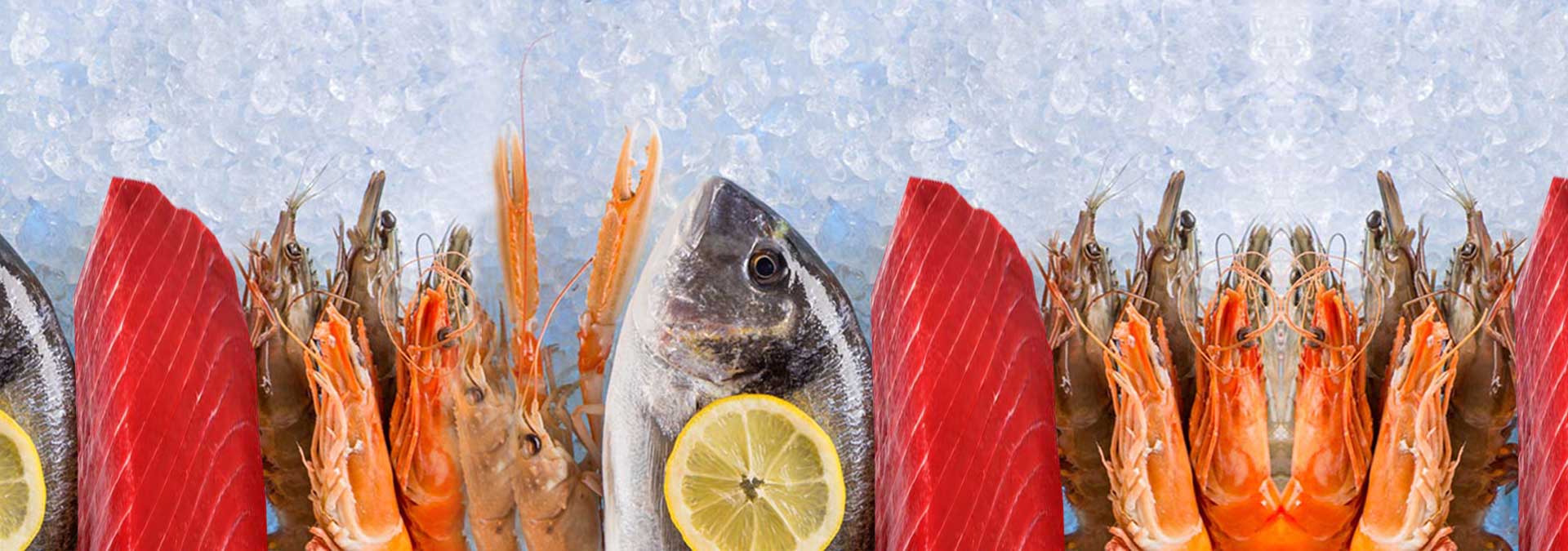 Sea food Banner 