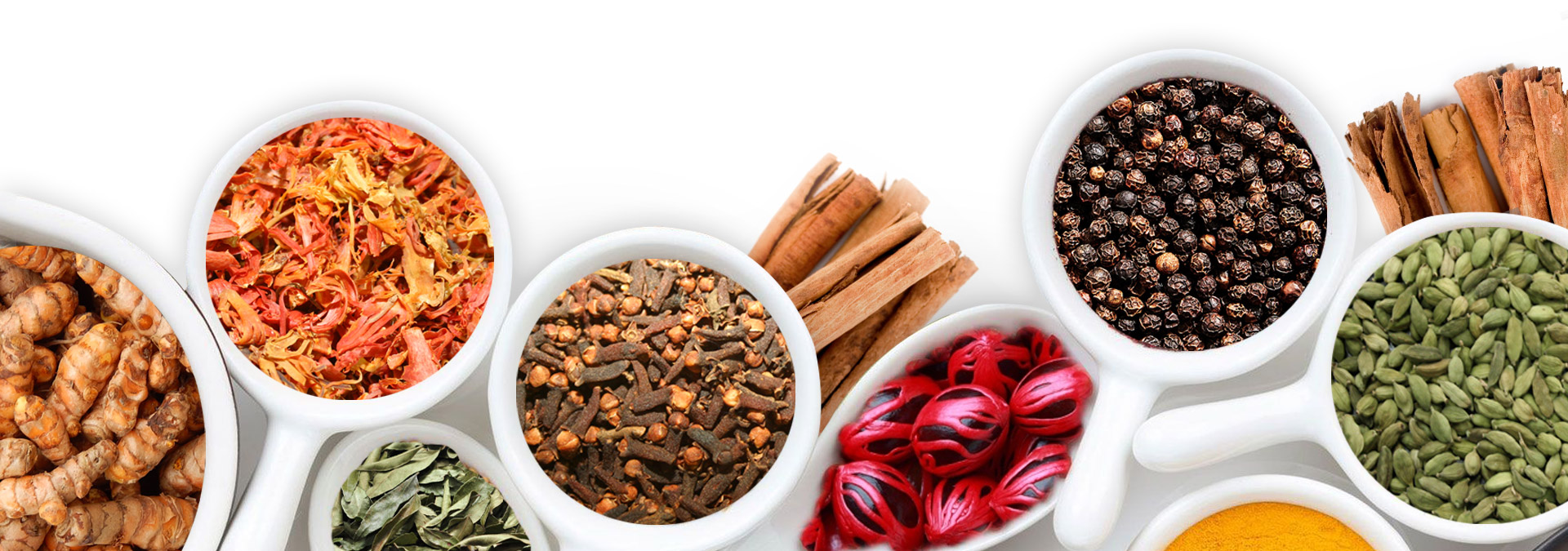 Spices, Essential Oils & Oleoresins