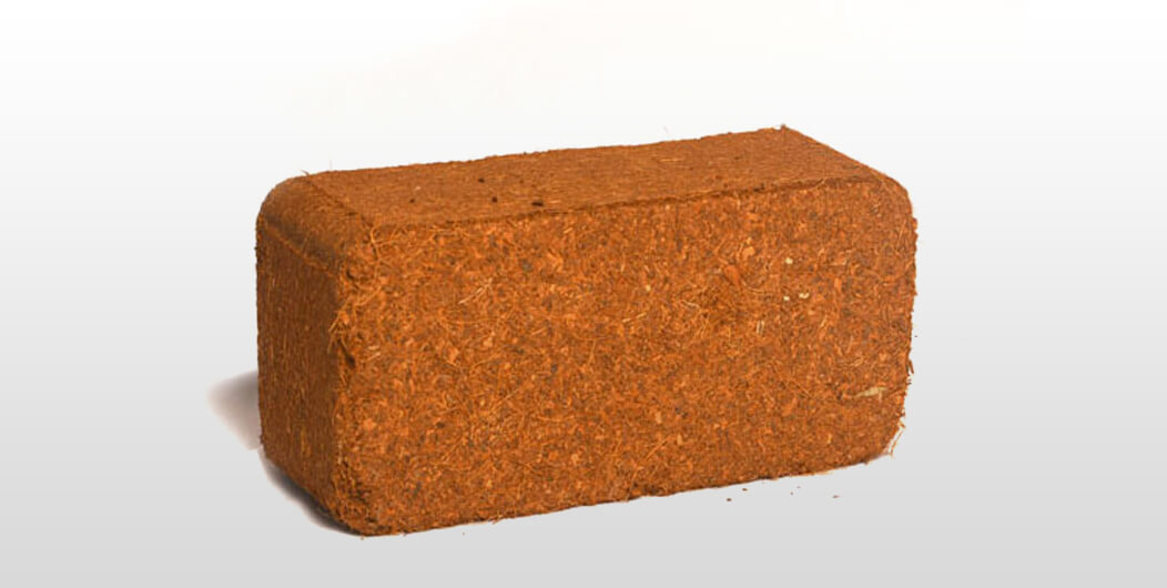Coco peat bricks 