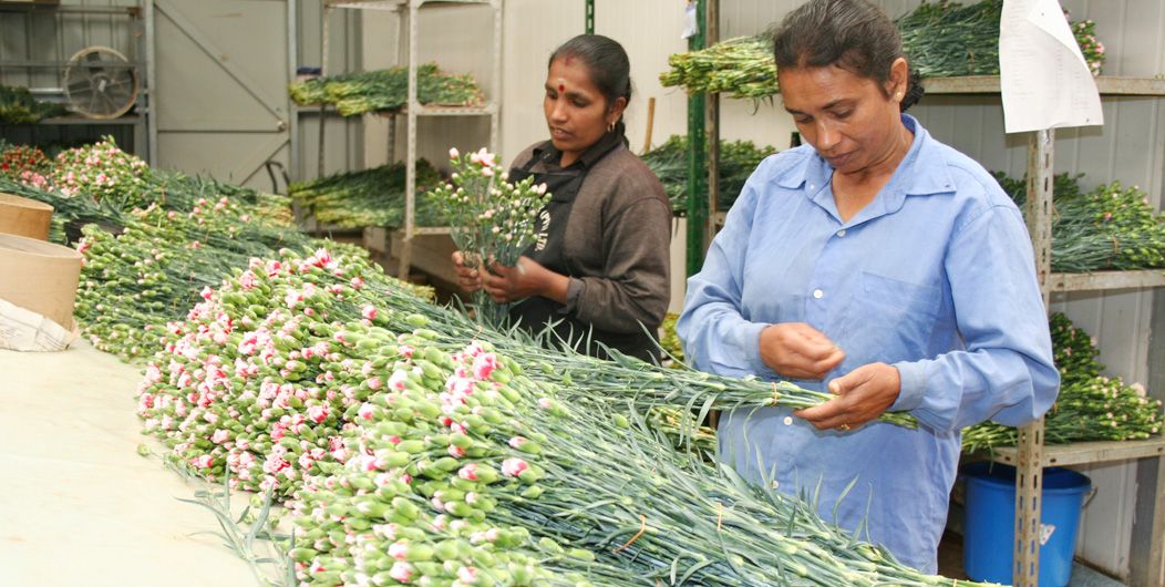Why sri lankan floriculture products