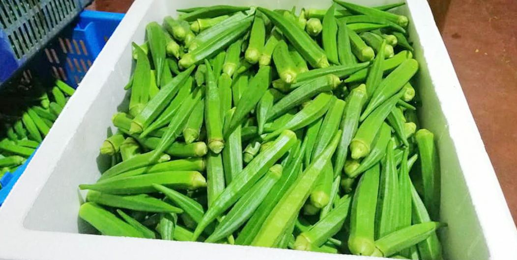 Okra From Sri Lanka