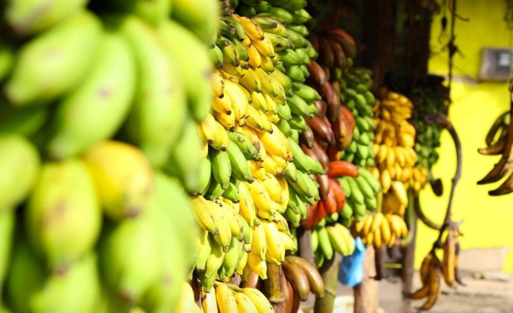  a wide range of bananas from Sri Lanka 