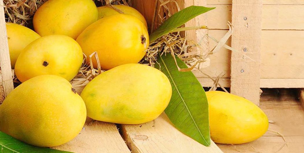 Mango from Sri Lanka