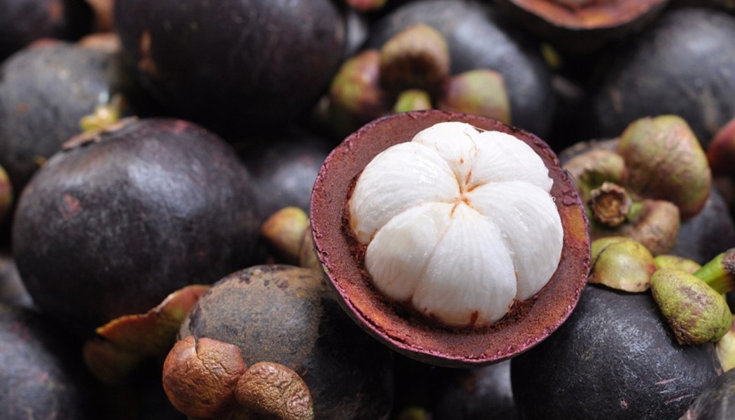  Mangosteen from Sri Lanka