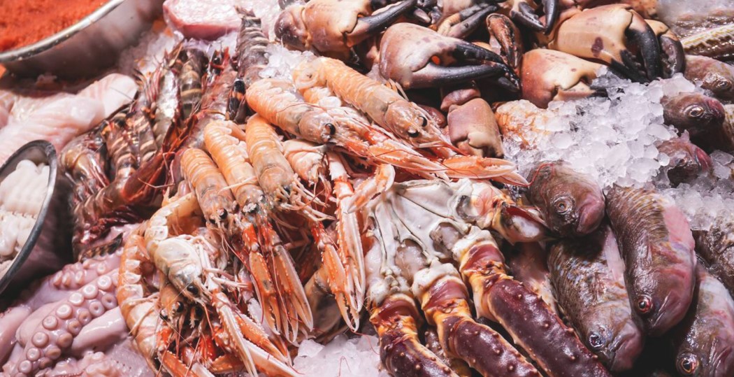 Seafood varieties in display in Sri Lanka