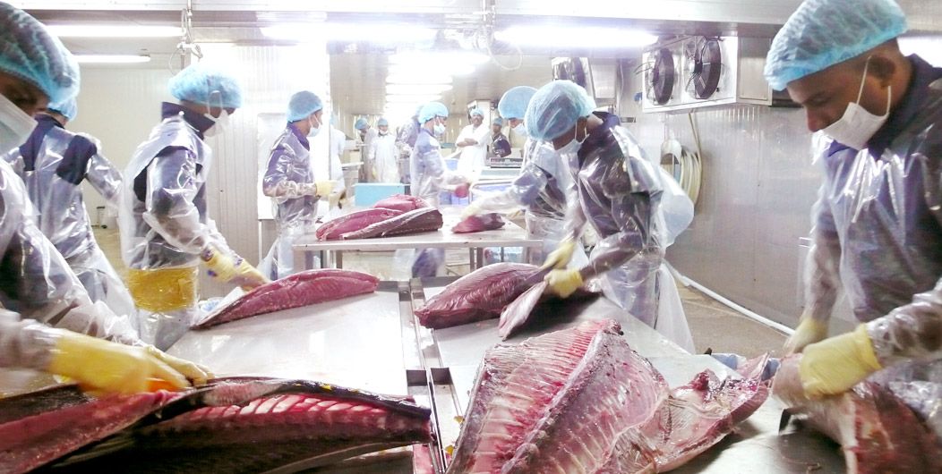 seafood processing in Sri Lanka