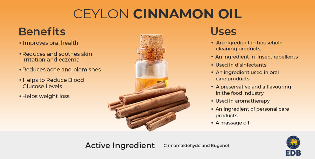 Cinnamon Oil uses and benefits 
