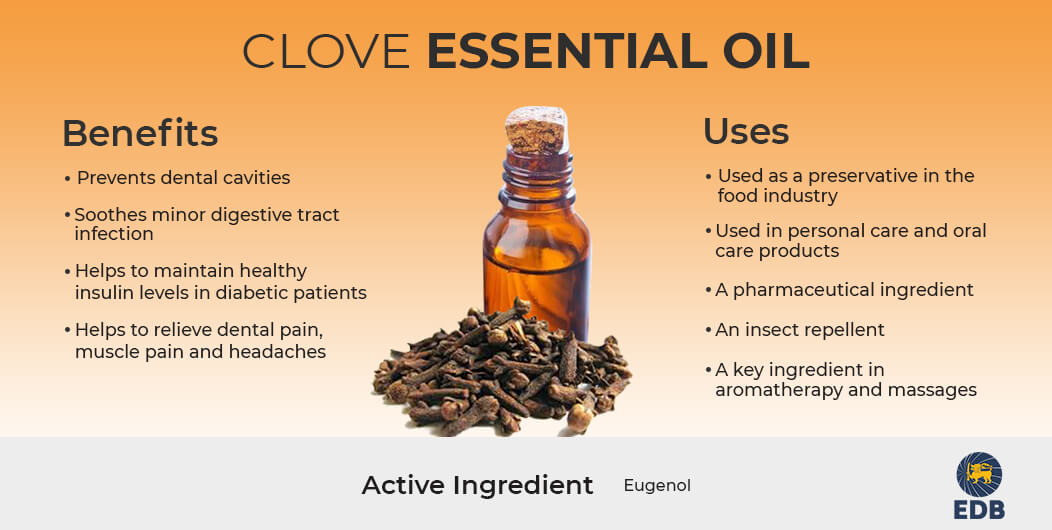 Clove Oil uses and benefits 