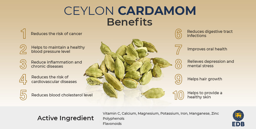 Green Cardamom from Sri Lanka