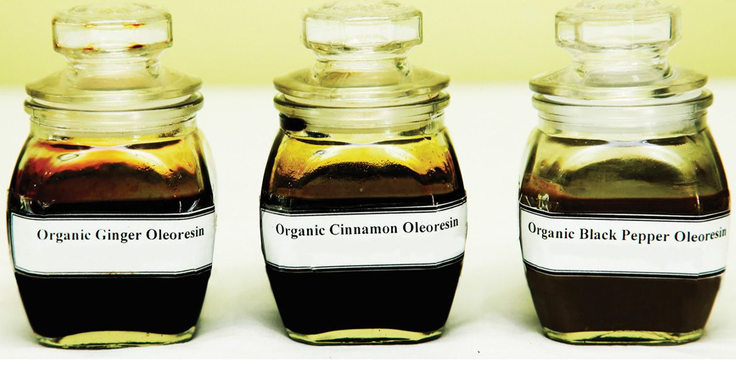 Oleoresin varieties from Sri Lanka in glass jars