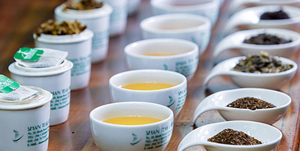 Ceylon Black Tea Manufacturers, Suppliers and Exporters in Sri Lanka