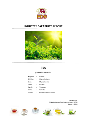 Industry Capability Report - Ceylon Tea