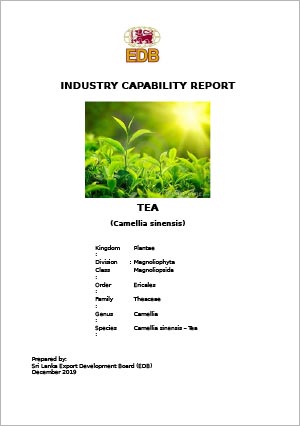 Industry Capability Report - Tea