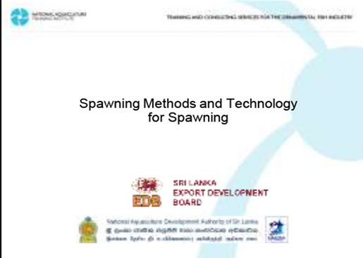 Spawning Methods and Technology for Spawning