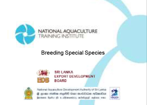 Breeding Special Species