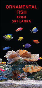 Ornamental Fish eBrochures