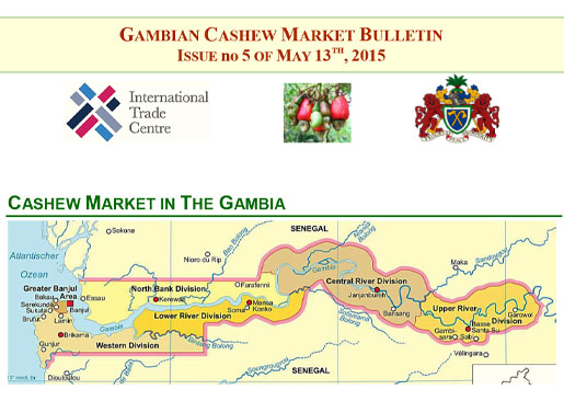 Gambian Cashew Market