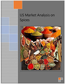 US Market Analysis on Spices