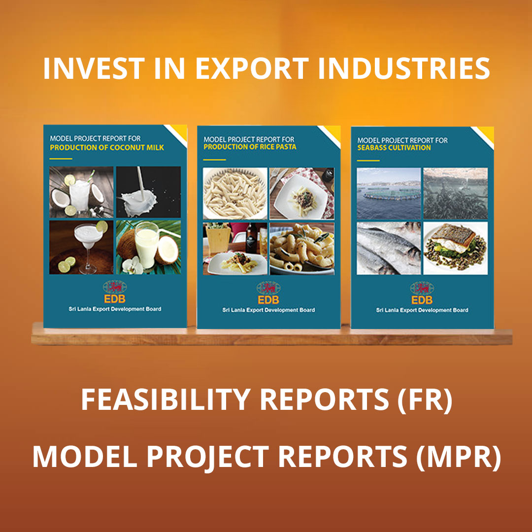 Invest in Export Industry 